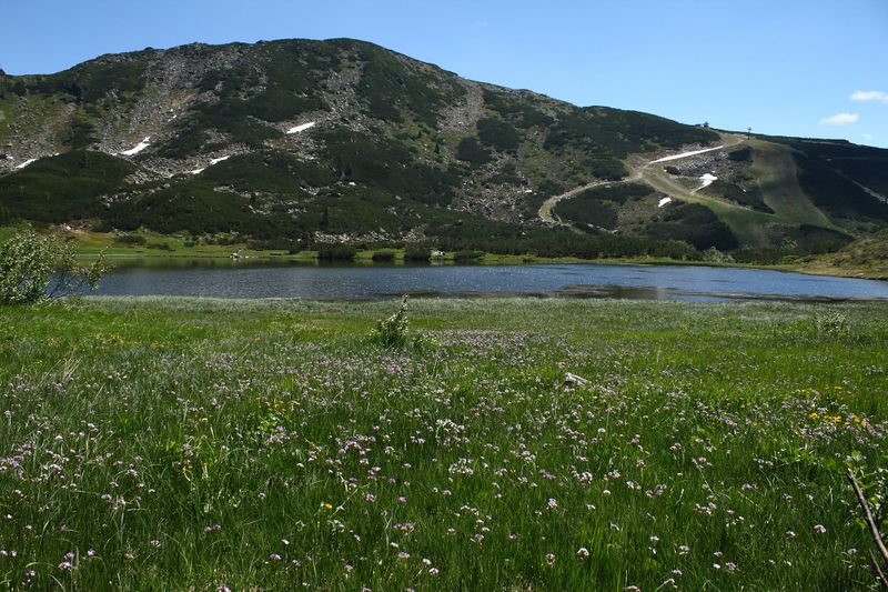 Datei:Plannersee 65272 2014-06-26.jpg