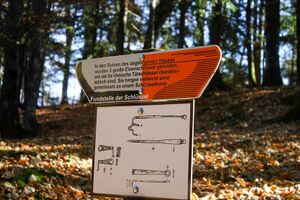 Röm.fluchtburg burgstaller 13993 2015-11-12.jpg