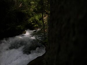 Untertalbach 7238 2007-06-30.jpg