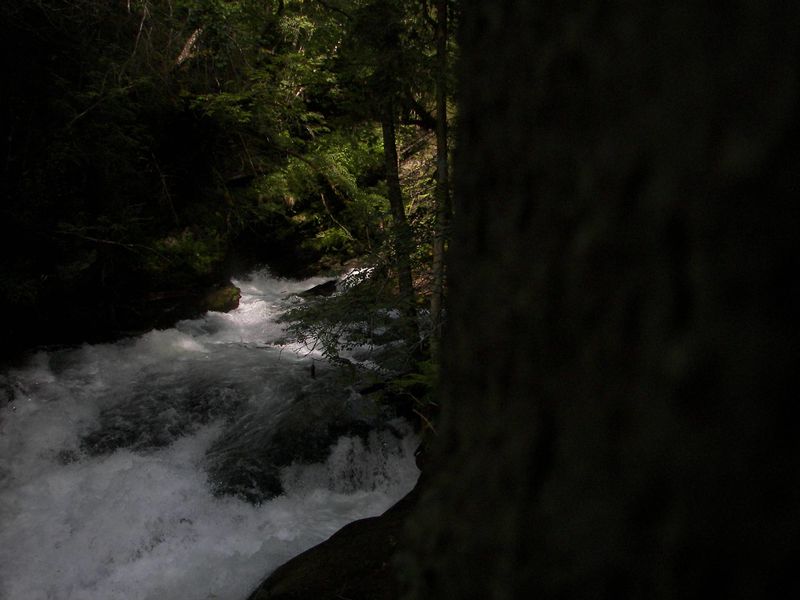 Datei:Untertalbach 7238 2007-06-30.jpg