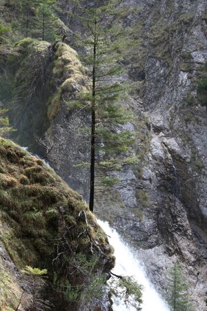 Wasserlochklamm palfau 70531 2018-04-23.jpg