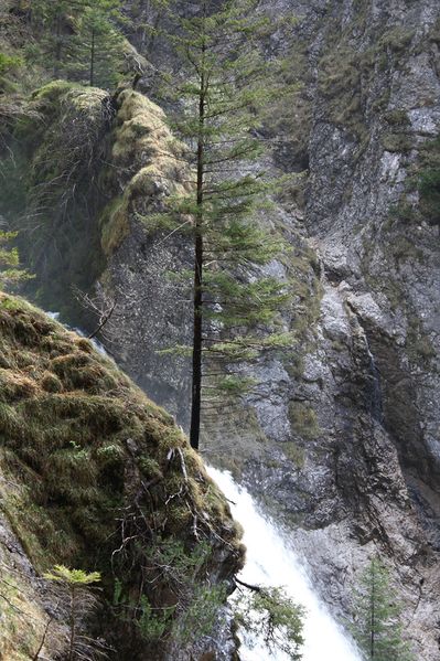 Datei:Wasserlochklamm palfau 70531 2018-04-23.jpg
