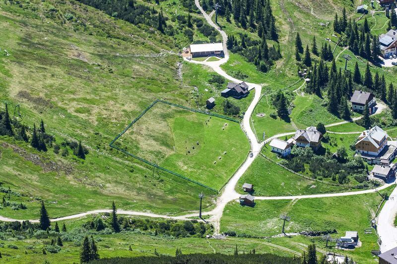 Datei:Bogenparcour planneralm 84410 2014-06-26.jpg