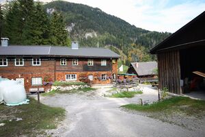 Gabäcker-fliegenpilz rössing 05839 2015-10-09.jpg