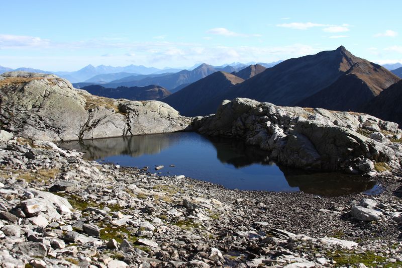 Datei:Goldlacken 0239 2013-10-08.jpg