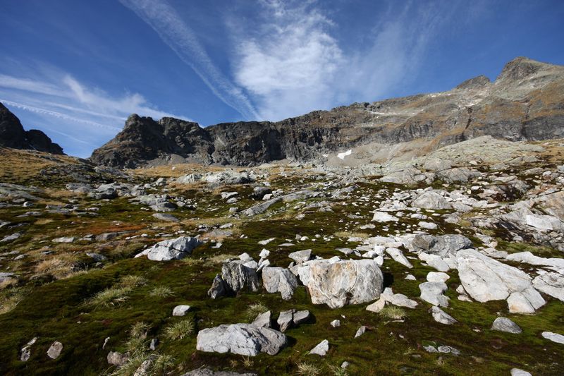 Datei:Goldlacken 0400 2013-10-08.jpg