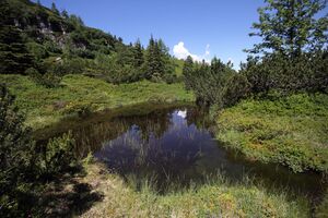 Gumpenkar 53188 2017-07-05.jpg