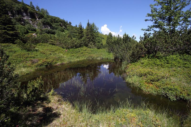 Datei:Gumpenkar 53188 2017-07-05.jpg