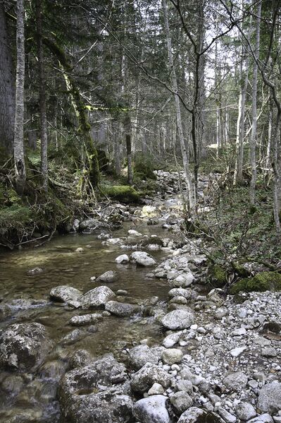 Datei:Hallbachgraben 21274 2016-04-15.jpg