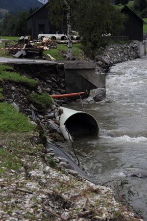 KW mössna 55568 2017-08-13.jpg