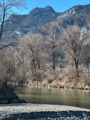 Mündung gulling-enns-0035-2025-03-20.jpg