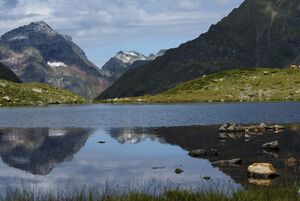 Oberer lanschitzsee 98037 2011-08-12.jpg