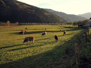 Pürgschachen 8083.JPG