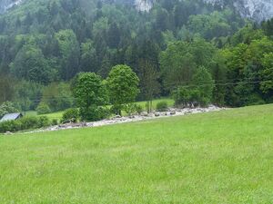 Schaufelbachmure 58147 2014-05-18.JPG