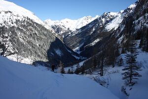 Steinriesental -gollinghtt 59777 2013-03-28.jpg