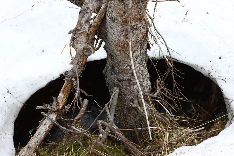 Datei:Strickerkar 55709 2014-05-02.jpg