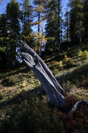 Bei der kammalm 40615 2012-10-05.jpg