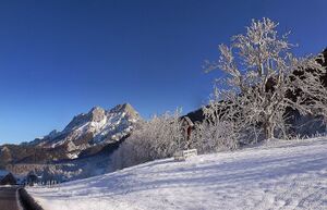 Buchauer sattelkreuz10001.JPG