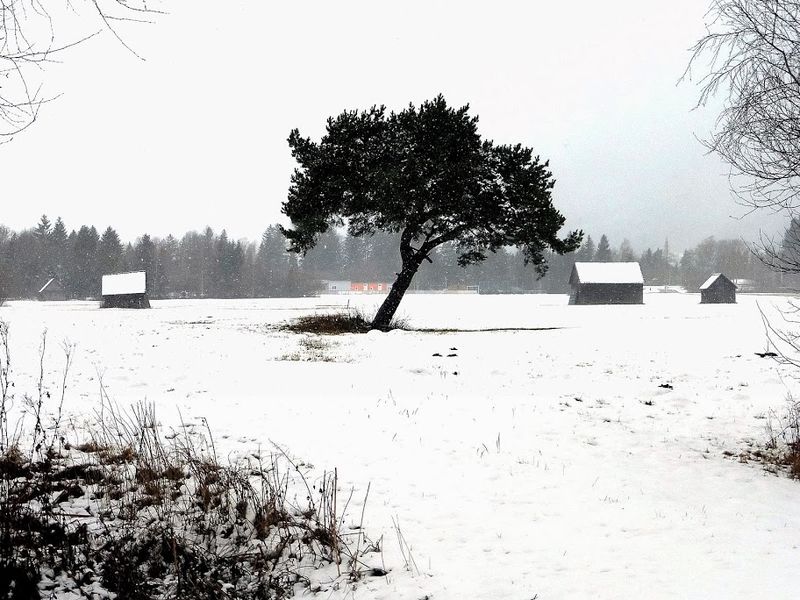 Datei:Ennsau Wörschach10817.JPG