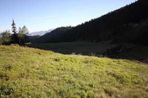 Gumpenkar 53252 2017-07-05.jpg