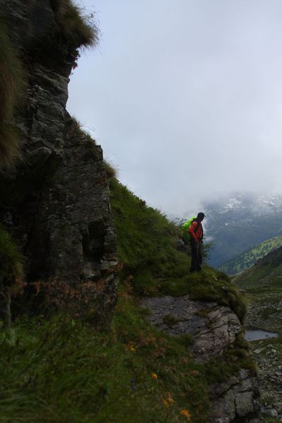 Datei:Im Wildkar 2546 2009-07-25.jpg