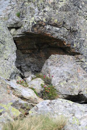 Im wildkar 23688 2008-06-26.jpg