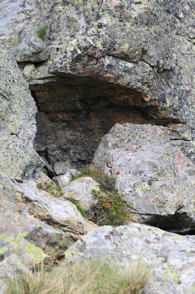 Datei:Im wildkar 23688 2008-06-26.jpg