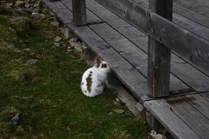 Keinprechthütte 74107 2014-10-06.jpg