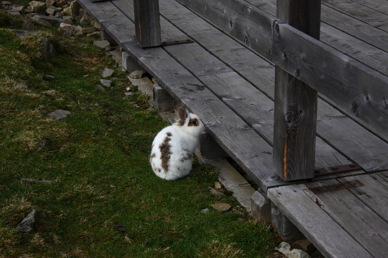 Datei:Keinprechthütte 74107 2014-10-06.jpg