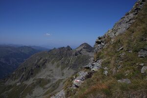 Kleine wildstelle-wildstelle 35862 2011-08-23.jpg