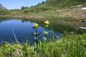 Lemperkarsee kleinsölk 4571 13-06-20.jpg