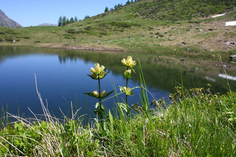 Datei:Lemperkarsee kleinsölk 4571 13-06-20.jpg