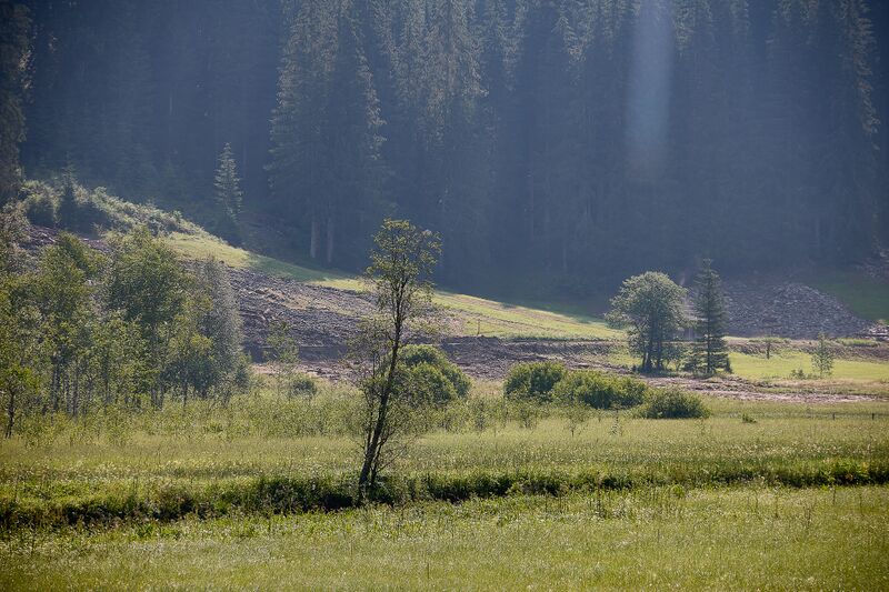 Datei:Mure Untertal-001-2026-06-30.jpg