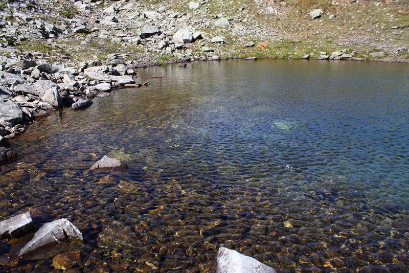 Datei:Nördliche krukecklacke 01692 2015-09-13.jpg