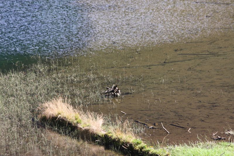 Datei:Schwarzensee kleinsölk 72549 2014-09-17.jpg