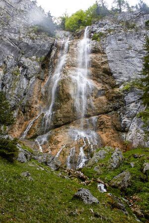 Wsf wolfbauer-403-2020-05-18-2.jpg
