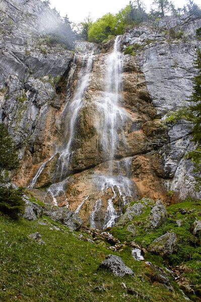 Datei:Wsf wolfbauer-403-2020-05-18-2.jpg