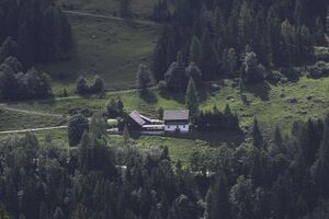 Zauneralm seewigtal 55910 2012-07-31.jpg