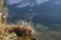 Altausseer See 78892 2014-11-15.jpg