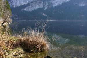 Altausseer See 78892 2014-11-15.jpg