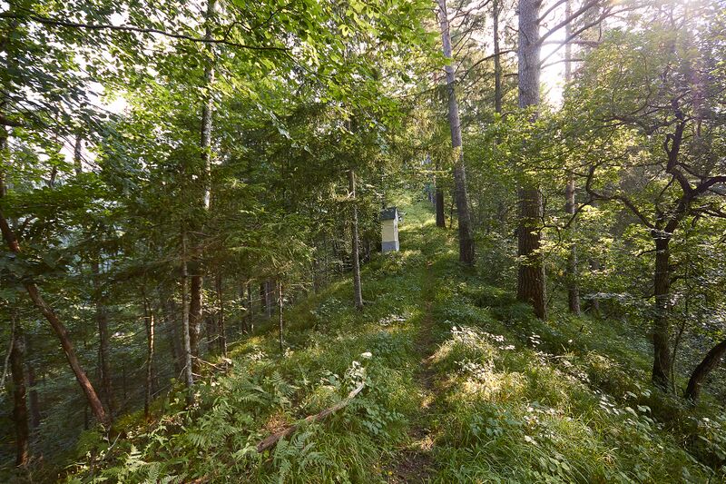 Datei:BST 14 KalvBerg K-Landl-0138-2025-08-06.jpg