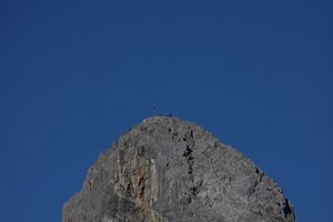 Bischofsmütze 36809 2011-09-11.jpg