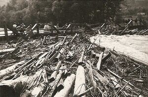 Enns Hochwasser 1959 Brücke Gröbming Moosheim Holzstau.jpg