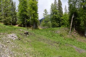 Geo mittelpunkt österreich-0189-2024-06-05.jpg