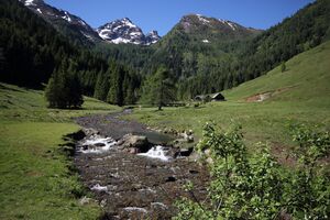 Gumpental 49363 2017-06-09.jpg