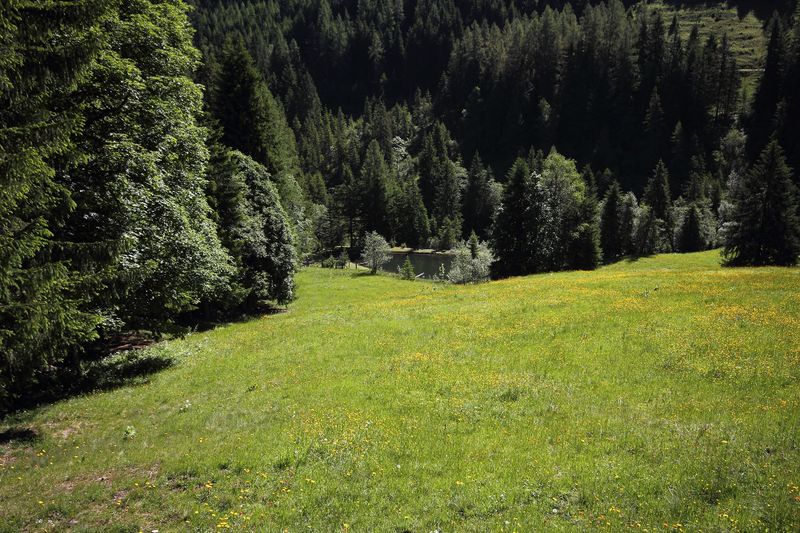 Datei:Gumpental 49656 2017-06-09.jpg