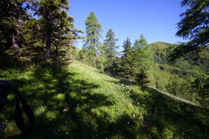 Klockalm 57766 2015-07-11.jpg