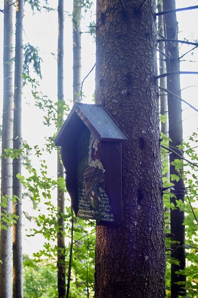 Datei:MA peter neuper simonyweg-0087-2023-09-29.jpg