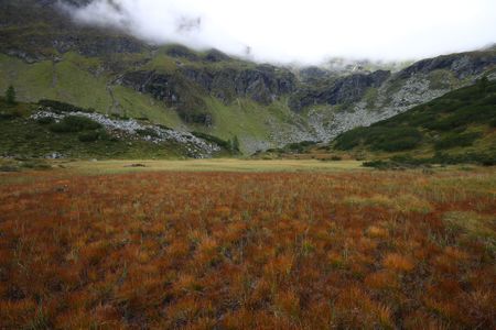 Nördl see vom griegelsee 80025 2014-09-16.jpg