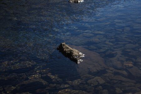 Südliche krukecklacke 01710 2015-09-13.jpg